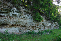DSC08258
