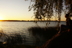 DSC08327