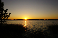 DSC08330