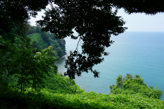DSC04372