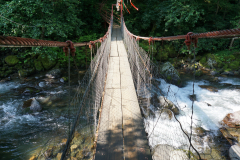 DSC04423