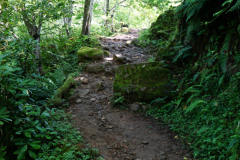 DSC04437