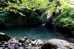 DSC04439