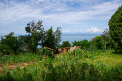 DSC04664