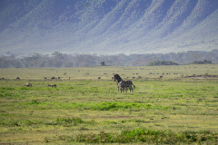 DSC04091