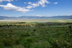 DSC04231