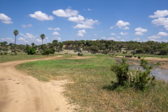 DSC04347