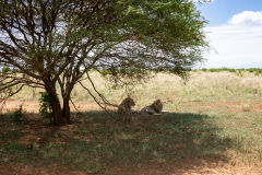 DSC04385