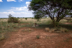 DSC04409