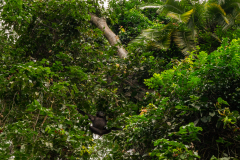 DSC04961