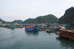 DSC00790