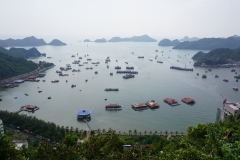 DSC00920