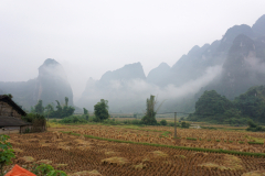 DSC00975