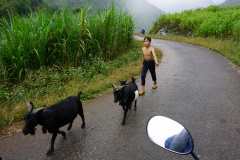 DSC01189