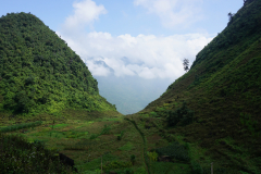 DSC01197