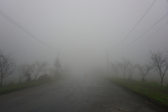 DSC01302