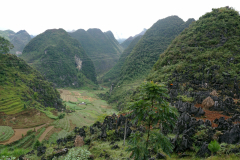 DSC01417