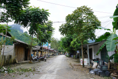 DSC01642