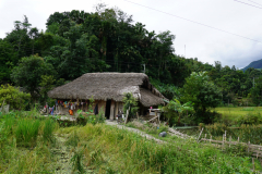 DSC01695