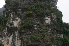 DSC01802