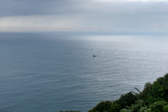DSC02596