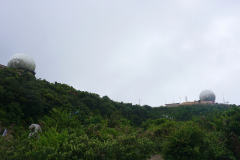 DSC02630