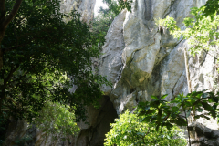 DSC02650