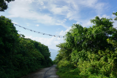DSC02732