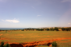 DSC02767