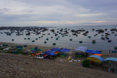 DSC02931